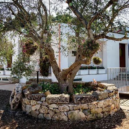 Nichil * 트리카세